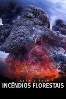 Capa de Depois dos Incêndios Florestais (2020)