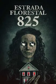 Capa de Estrada Florestal 825 (2025)