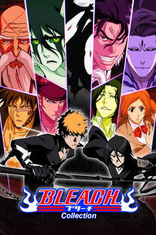 Capa de Bleach 1ª Temporada (2004)