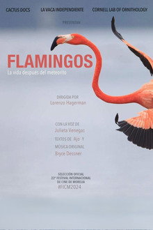 Capa de Flamingos: A Vida Depois do Meteorito (2026)