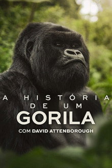 Capa de A História de Um Gorila com David Attenborough (2026)