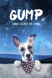 Capa de Gump: Uma Lição de Vida (2021)