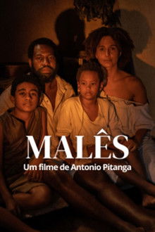 Capa de Malês (2025)