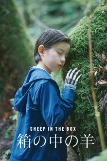 Capa de Sheep in the Box (2026)