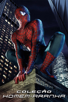 Capa de Homem-Aranha: Coleção (2002 a 2007)