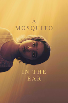 Capa de A Mosquito in the Ear (2026)